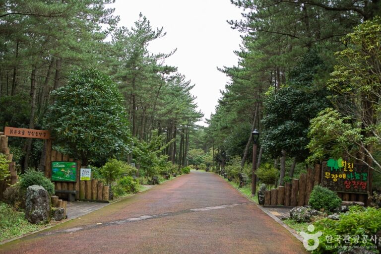 [예스키즈존] 붉은오름자연휴양림