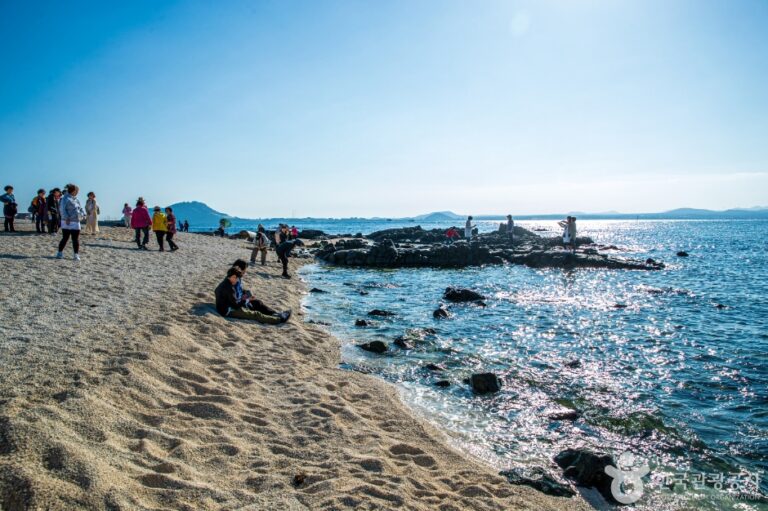 [예스키즈존] 우도산호해변 홍조단괴 서빈백사