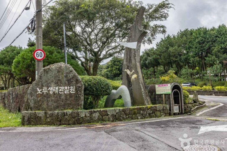 [예스키즈존] 제주 노루생태관찰원
