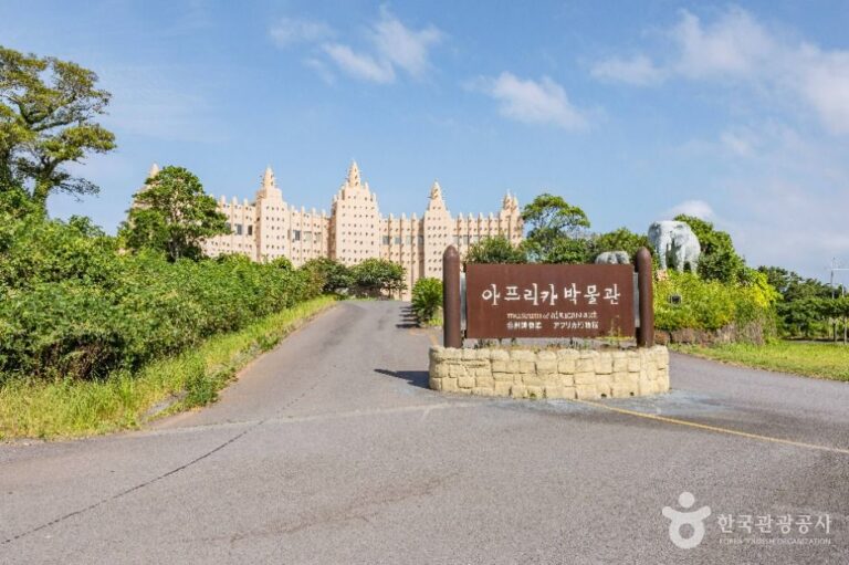[예스키즈존] 아프리카 박물관