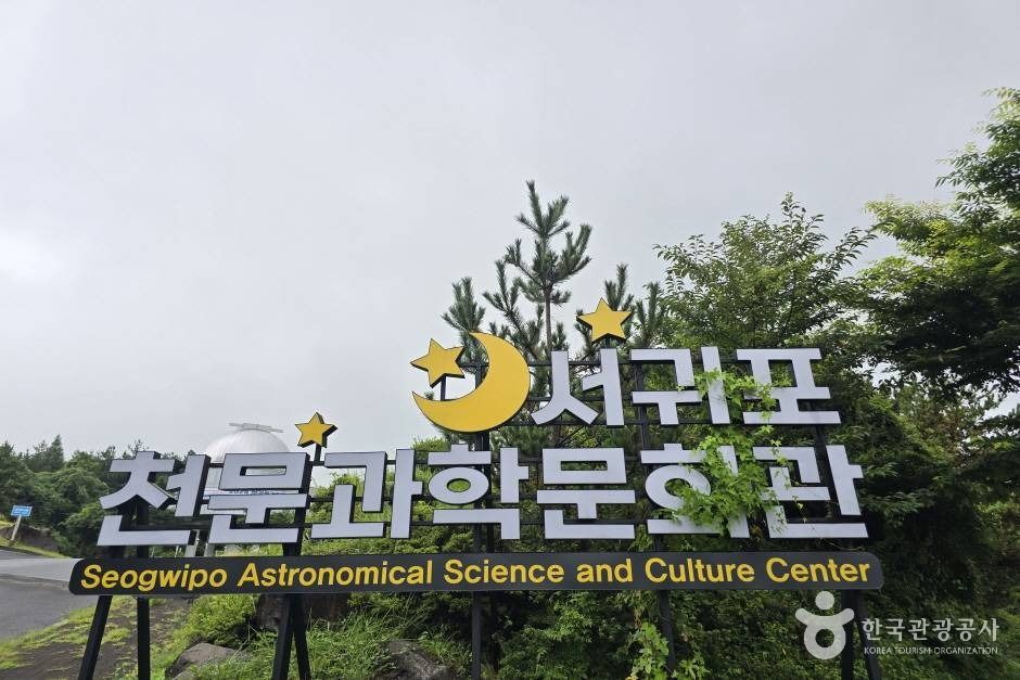 yeskids 1778622994 765 예스키즈존 탐험대 : 실패 없는 육아여행