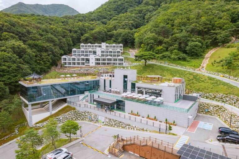 [예스키즈존] 숲애서