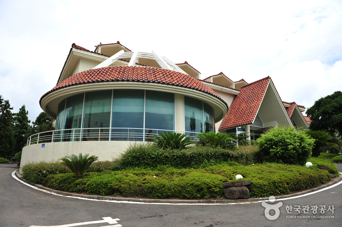 [예스키즈존] 씨오르리조트