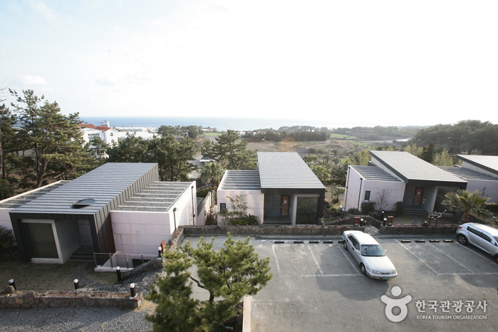 [예스키즈존] 담앤루리조트