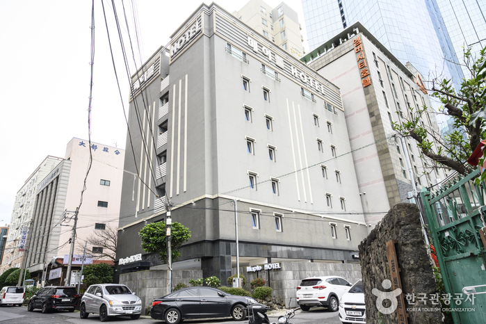 [예스키즈존] 제주 메이플호텔