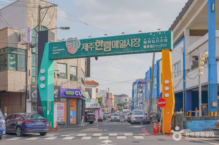 [예스키즈존] 한림매일시장
