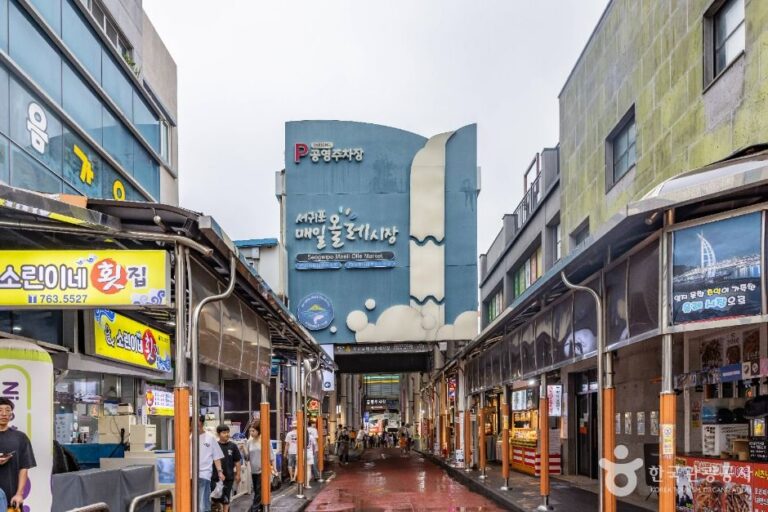 [예스키즈존] 서귀포매일올레시장