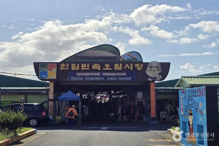 [예스키즈존] 한림민속오일시장