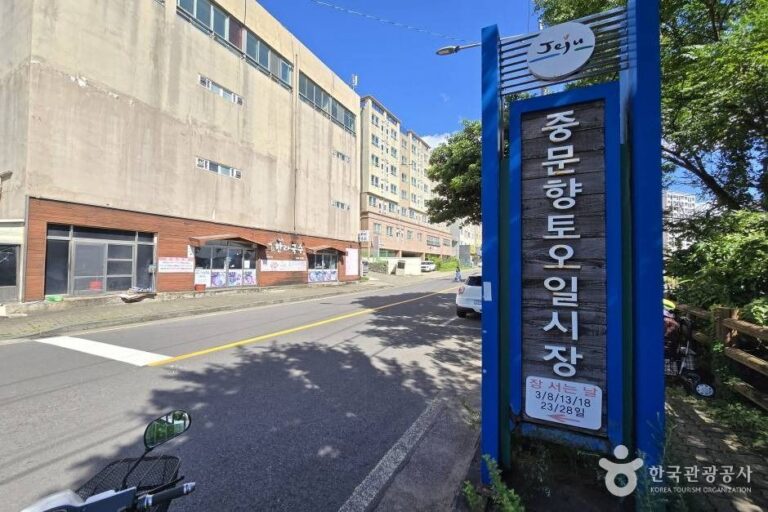 [예스키즈존] 중문향토오일시장