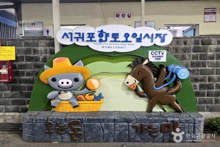 [예스키즈존] 서귀포향토오일시장