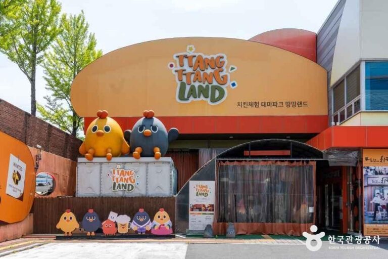 [예스키즈존] 치킨체험 테마파크 땅땅치킨랜드