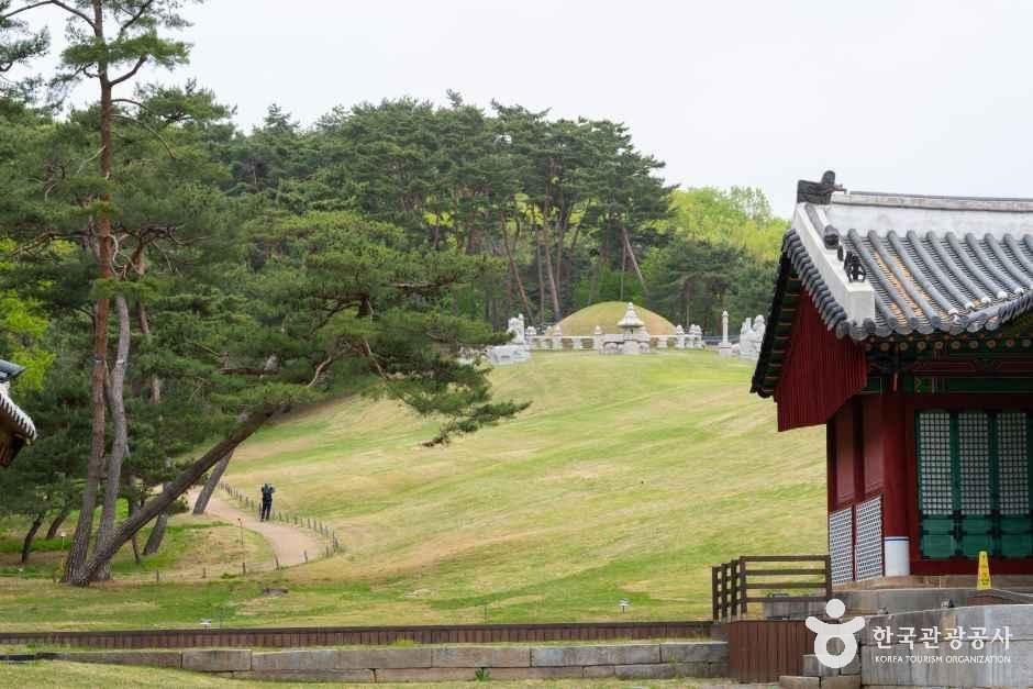 yeskids 1778789840 246 예스키즈존 탐험대 : 실패 없는 육아여행
