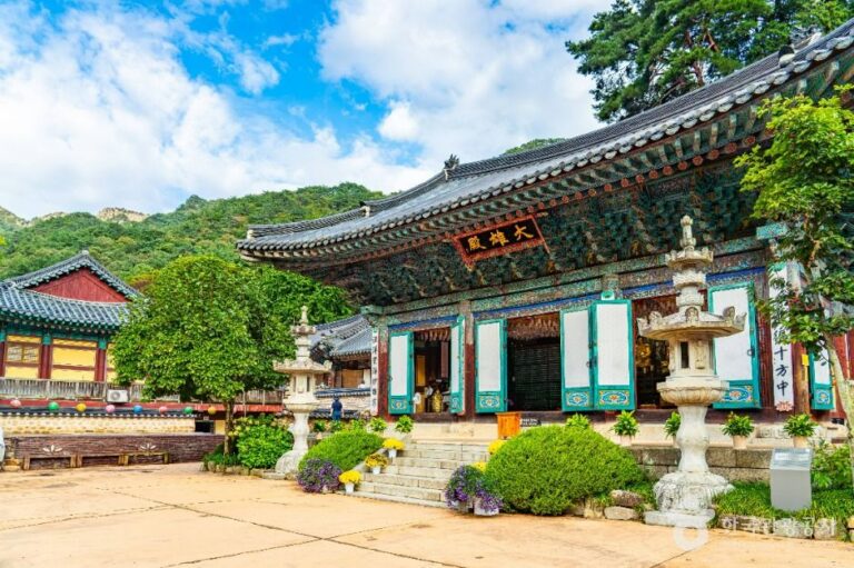 [예스키즈존] 동학사(공주)