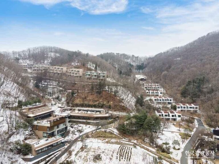 [예스키즈존] 힐리언스 선마을