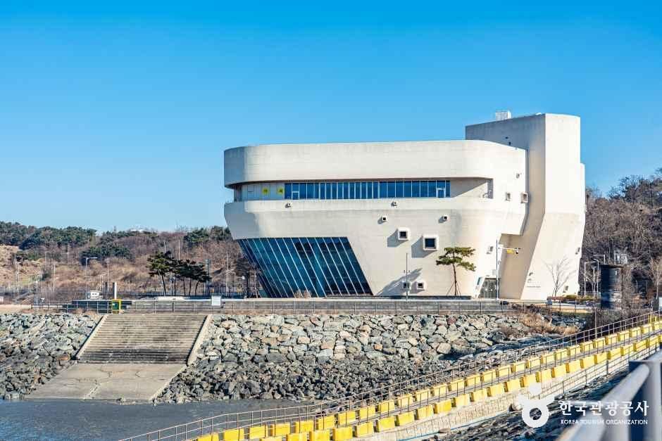 [예스키즈존] 오이도기념공원