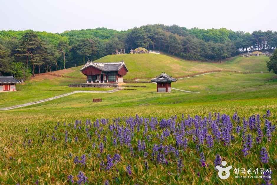 [예스키즈존] 구리 동구릉 [유네스코 세계유산]