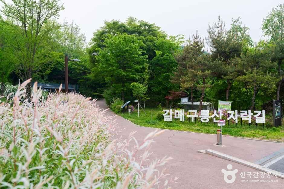 [예스키즈존] 갈매구릉산자락길