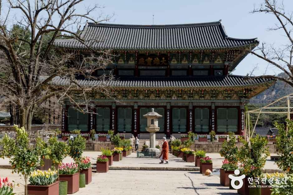 [예스키즈존] 보은 법주사 [유네스코 세계유산]
