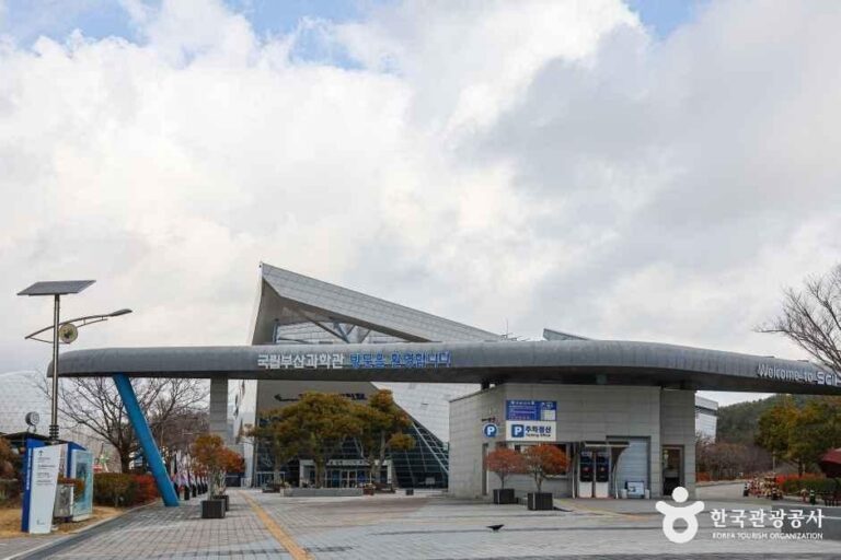 [예스키즈존] 국립부산과학관