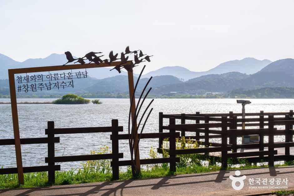 [예스키즈존] 주남저수지 철새도래지