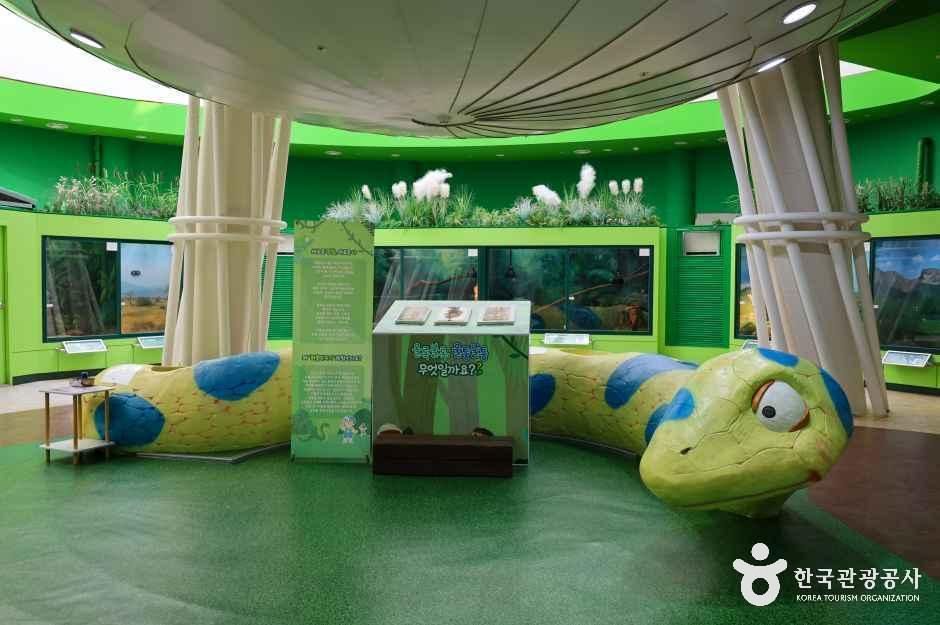 [예스키즈존] 함평양서파충류생태공원