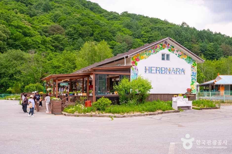 [예스키즈존] 허브나라농원