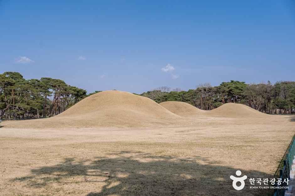 [예스키즈존] 경주 오릉