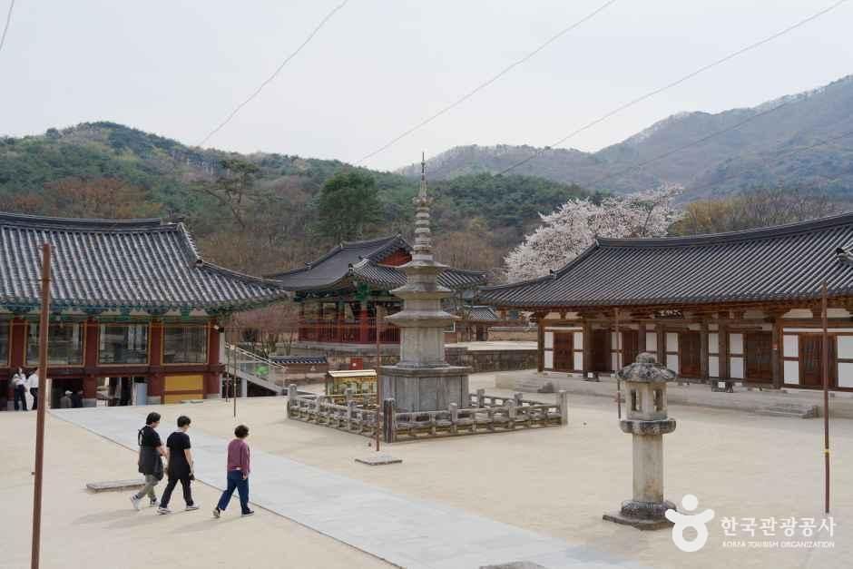 [예스키즈존] 직지사