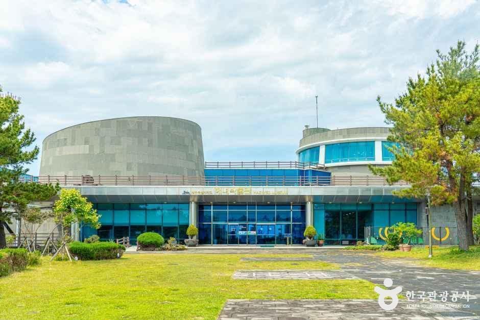[예스키즈존] 제주해녀박물관