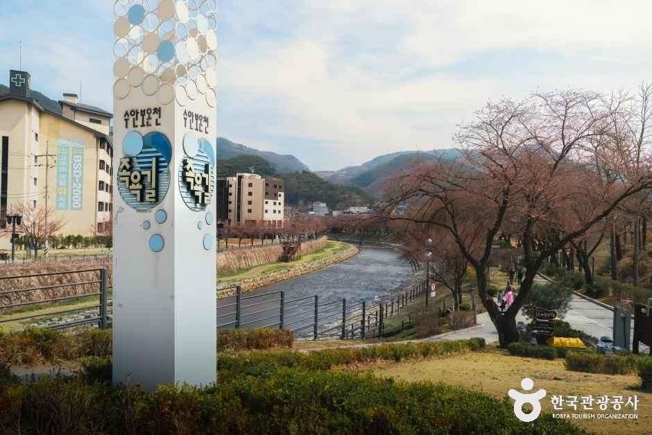 [예스키즈존] 수안보온천 관광특구