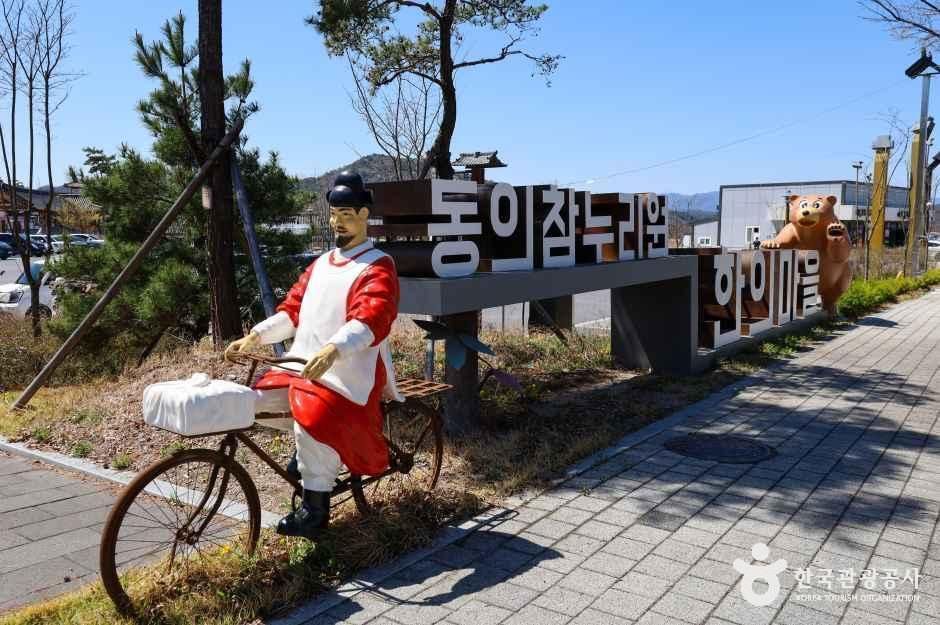 [예스키즈존] 영천한의마을