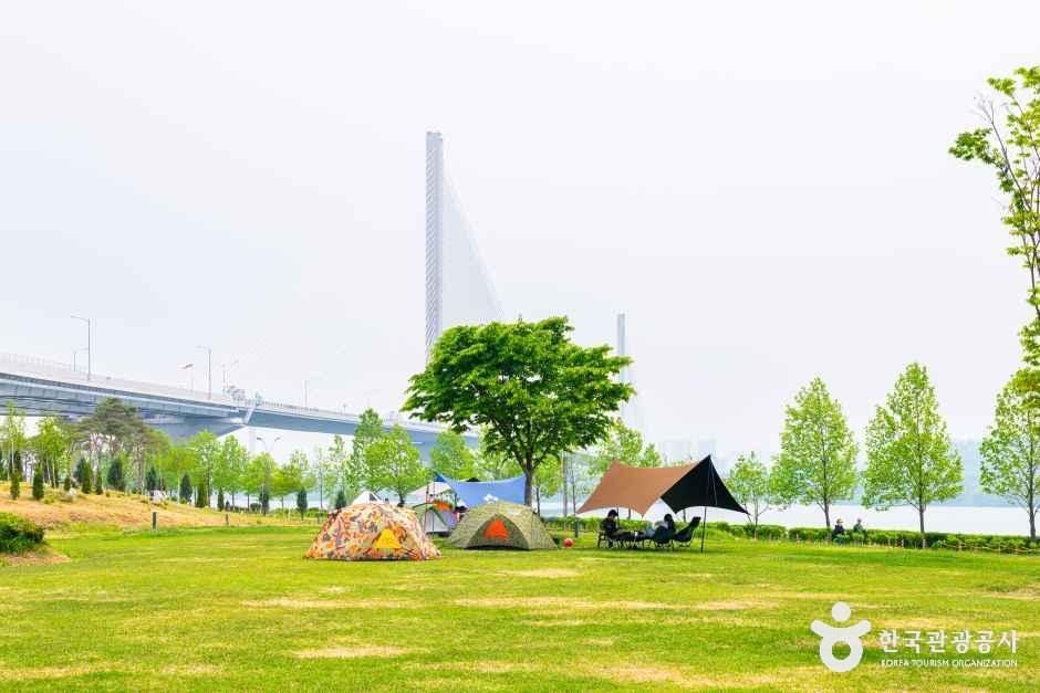 [예스키즈존] 구리한강시민공원(코스모스공원)