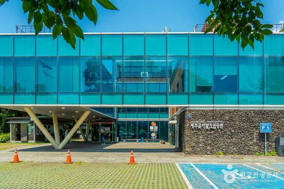[예스키즈존] 제주곶자왈도립공원