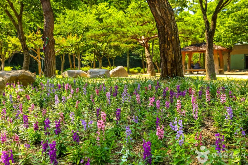 [예스키즈존] 대구앞산공원
