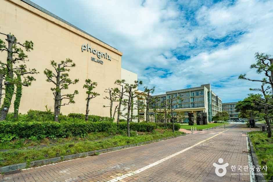 [예스키즈존] 휘닉스 아일랜드
