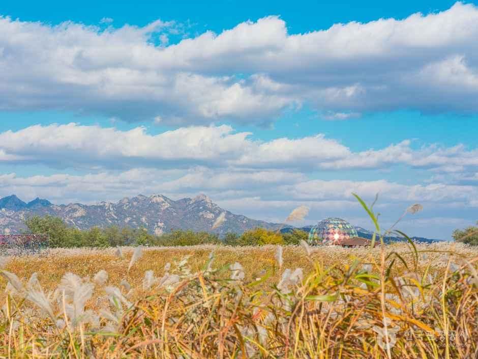 [예스키즈존] 하늘공원