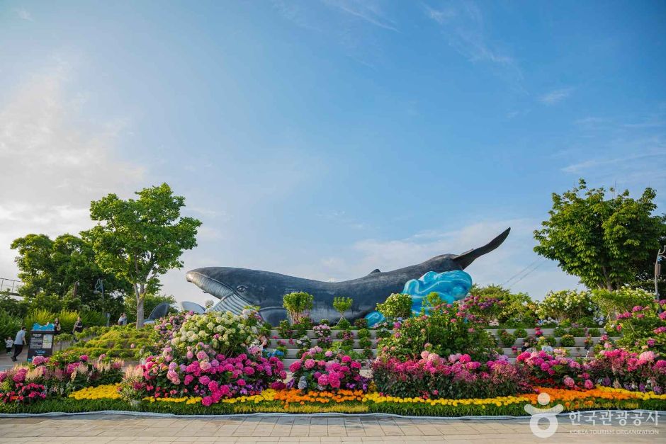 [예스키즈존] 장생포 고래문화마을