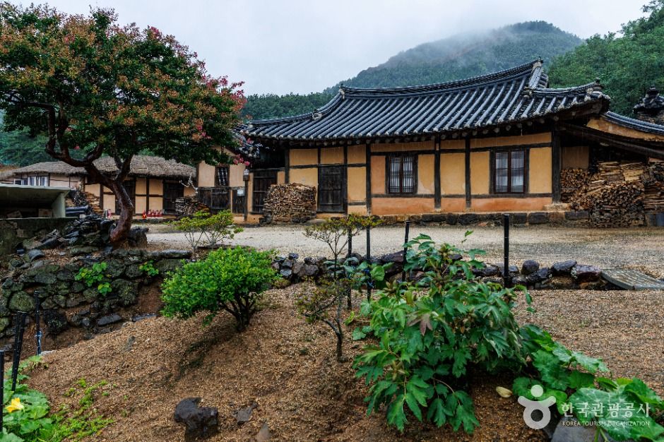 [예스키즈존] 고성 왕곡마을