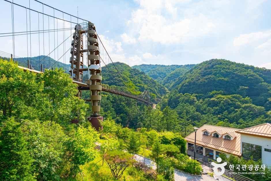 [예스키즈존] 증평 좌구산 명상구름다리