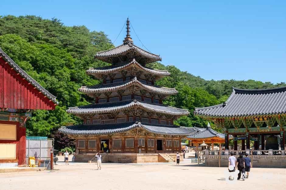 [예스키즈존] 보은 법주사 [유네스코 세계유산]