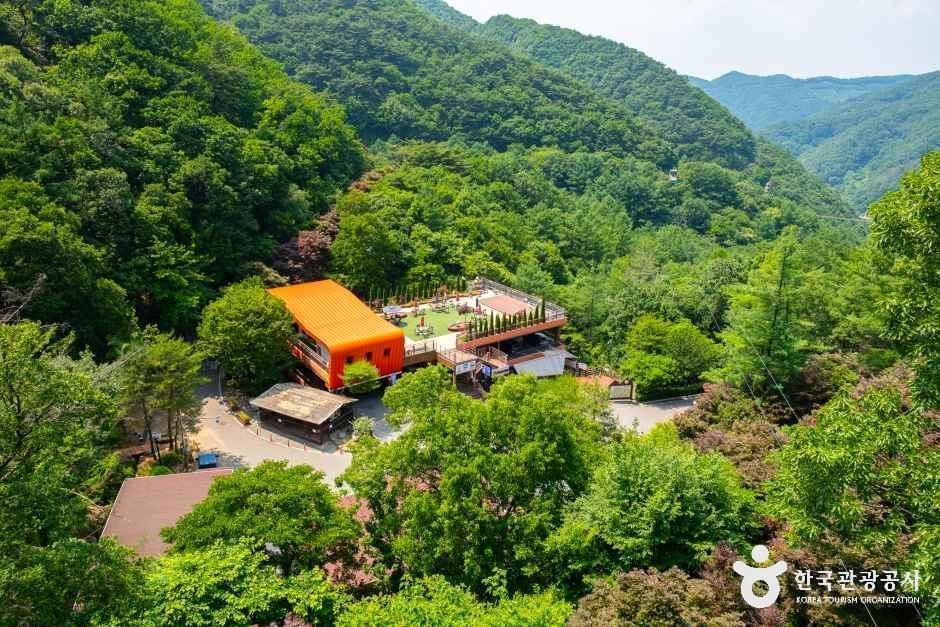 [예스키즈존] 좌구산 자연휴양림