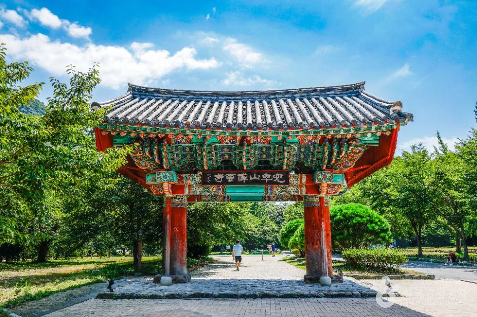 [예스키즈존] 선운사(고창)
