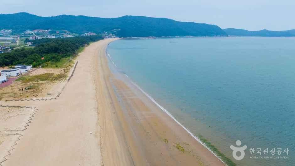 [예스키즈존] 신지명사십리해수욕장