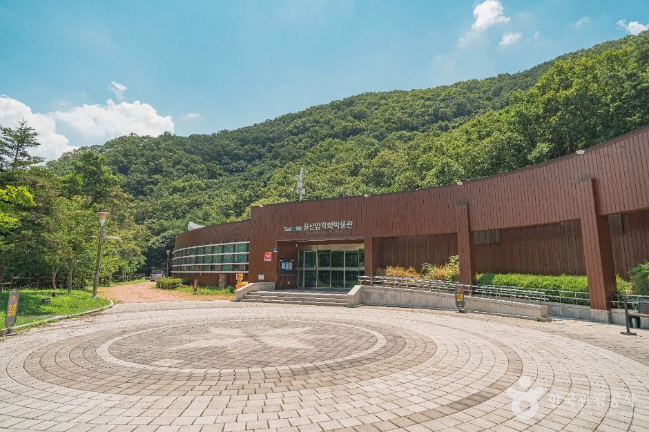 [예스키즈존] 울산암각화박물관