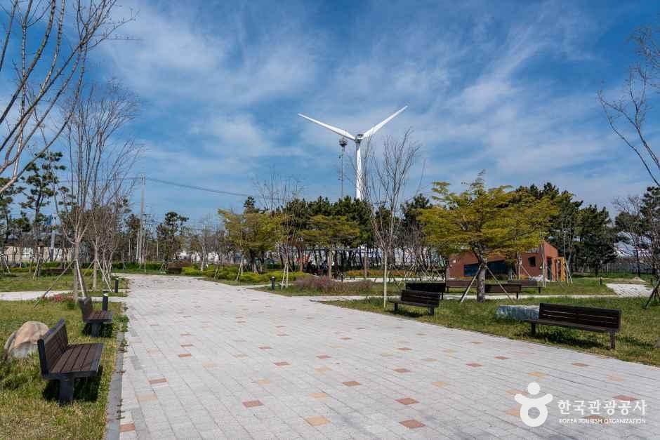 [예스키즈존] 대부도공원