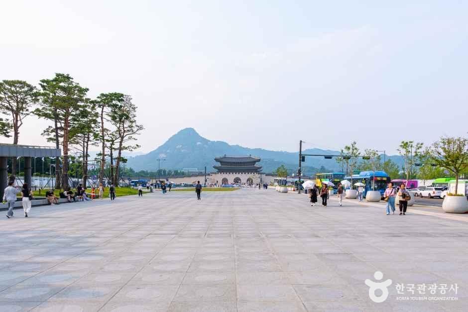 [예스키즈존] 광화문광장