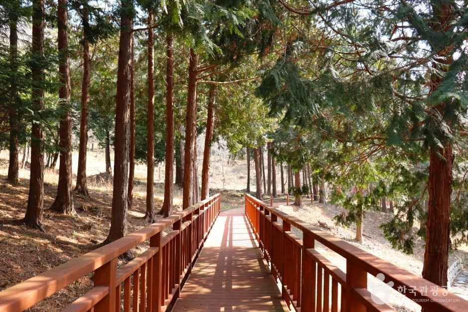 [예스키즈존] 운림산림욕장