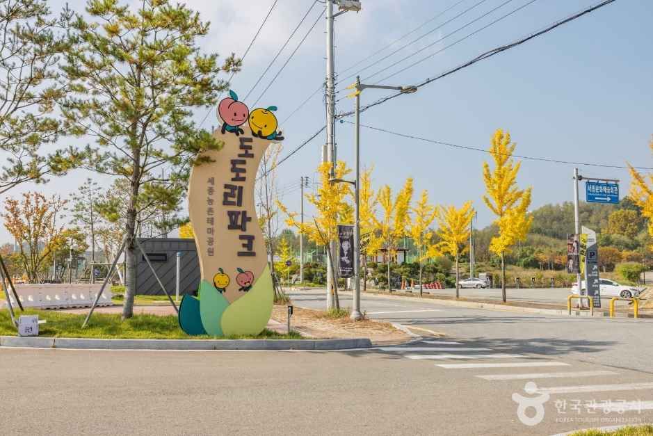 [예스키즈존] 농촌테마공원 도도리파크