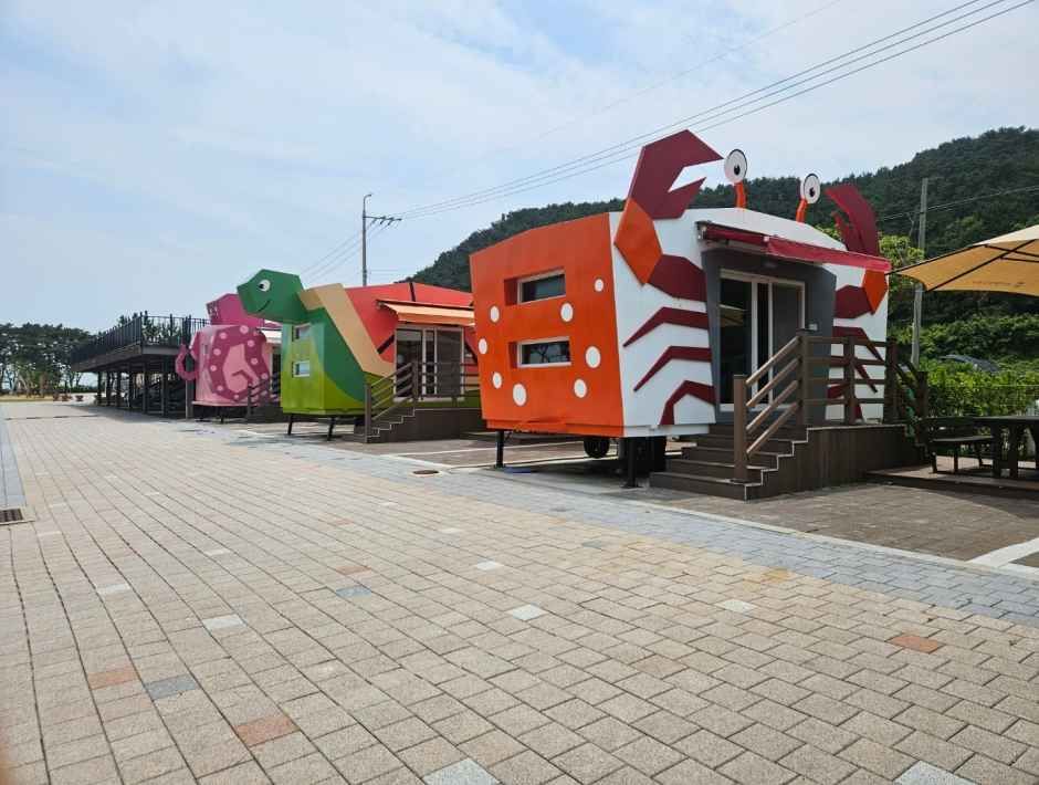[예스키즈존] 강동오토캠핑장