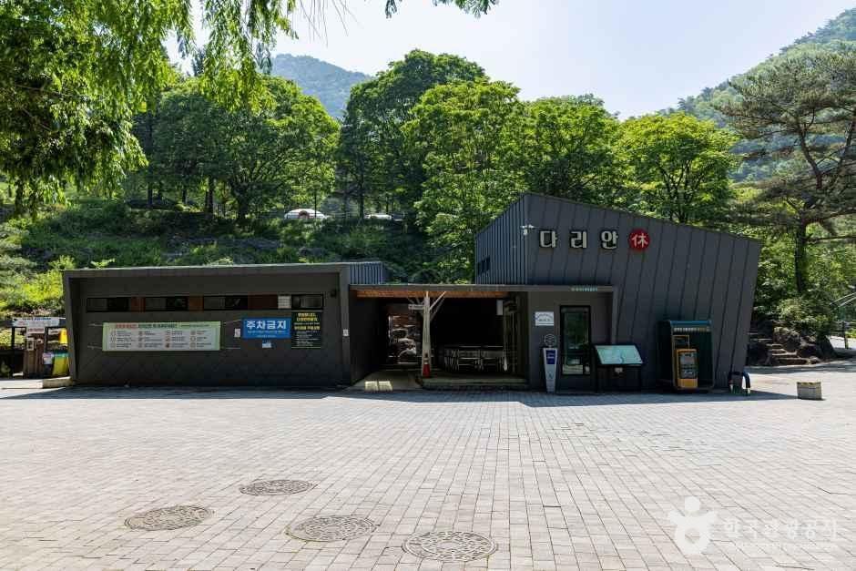 [예스키즈존] 다리안 캠핑장